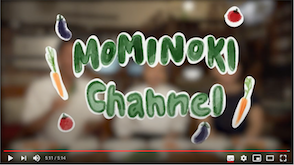 MOMINOKI CHANNEL